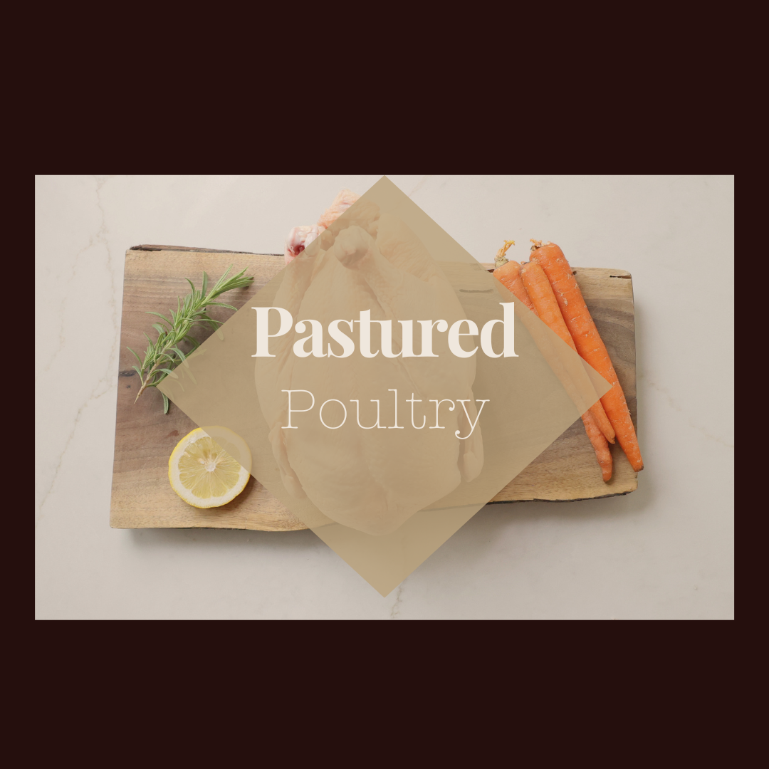 Pastured Poultry